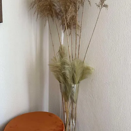 Apartment Andrijana *